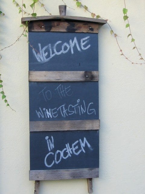 Enjoying Wine