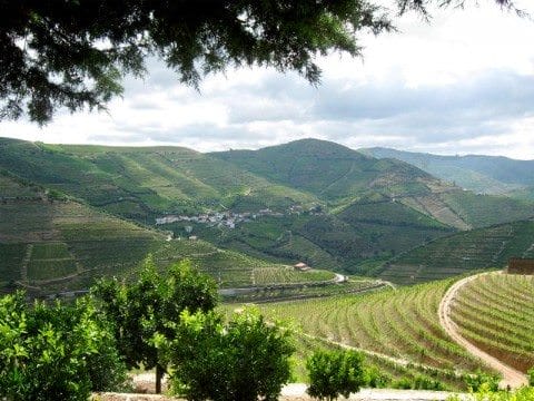 Douro River Valley - Uniworld