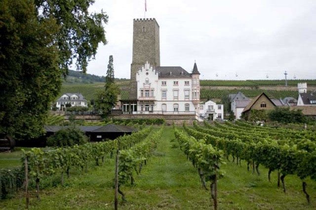 Cochem Germany Winery
