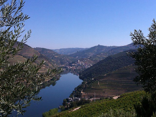Douro River - Valley - Uniworld - Douro Spirit