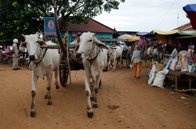 As I discovered today, the on-shore experiences that AmaWaterways has put together in Cambodia are unique, educational and enlightening. Photo © 2013 Aaron Saunders