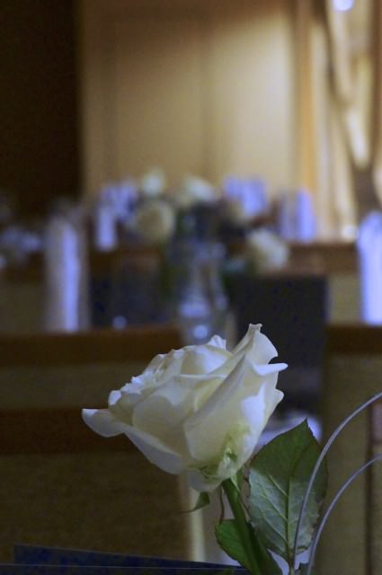 White roses for dinner service on A-ROSA. © 2013 Ralph Grizzle
