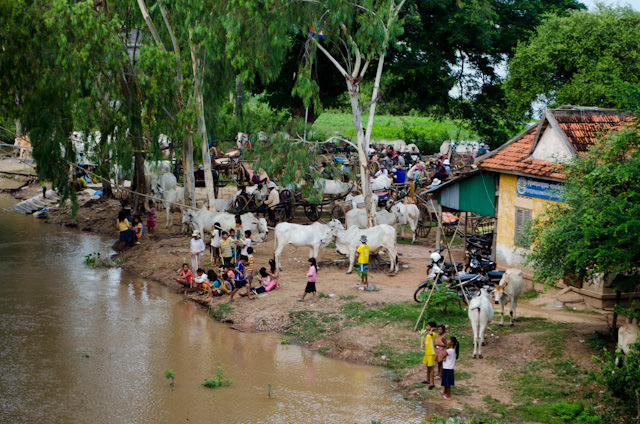 The Cambodian village of Kampong Tralach, as seen from the decks of the AmaLotus. Photo © 2013 Aaron Saunders