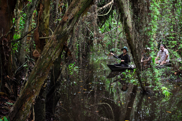 The forest here is exceptionally dense. This passing boat could only be seen when it was right upon us. Photo © 2013 Aaron Saunders