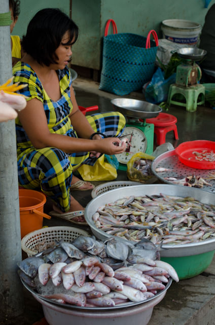 Every kind of seafood is present here. Photo © 2013 Aaron Saunders