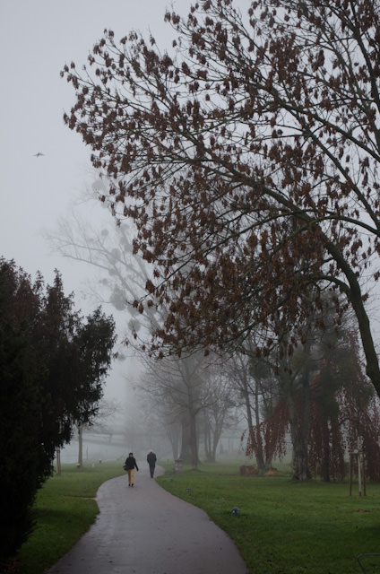 The walk from the Viking Baldur to the motorcoaches may be long, but it's very picturesque. Photo © 2013 Aaron Saunders