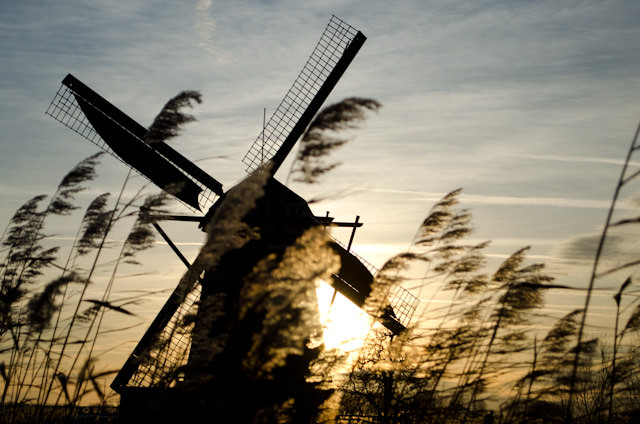 Touring the windmills of Kinderdijk, Netherlands as our journey along the Rhine aboard Viking Baldur wraps up. Photo © 2013 Aaron Saunders