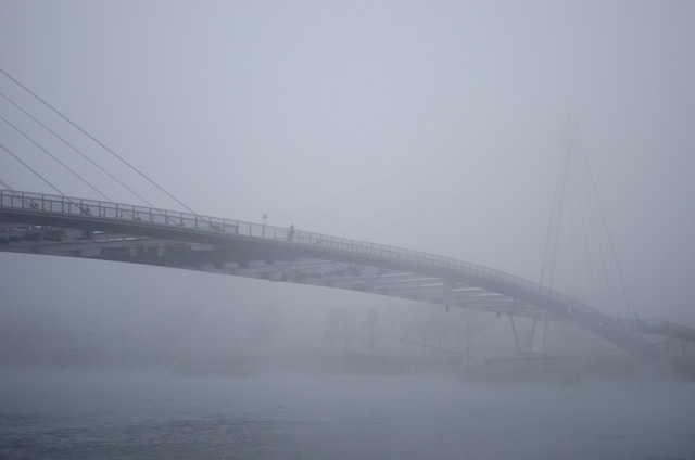 Fog kept temperatures in both Kehl and Strasbourg below freezing all day. Photo © 2013 Aaron Saunders