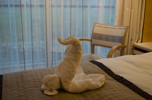 A Towel Animal Greeting in my stateroom. Photo © 2013 Aaron Saunders