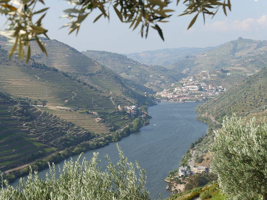 Douro River Cruises