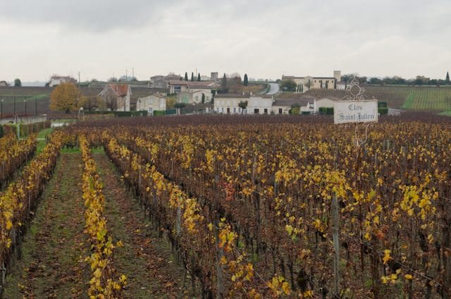 As you might expect, wine plays an enormous role in AmaWaterways' forthcoming Bordeaux itineraries. Photo © 2014 Aaron Saunders