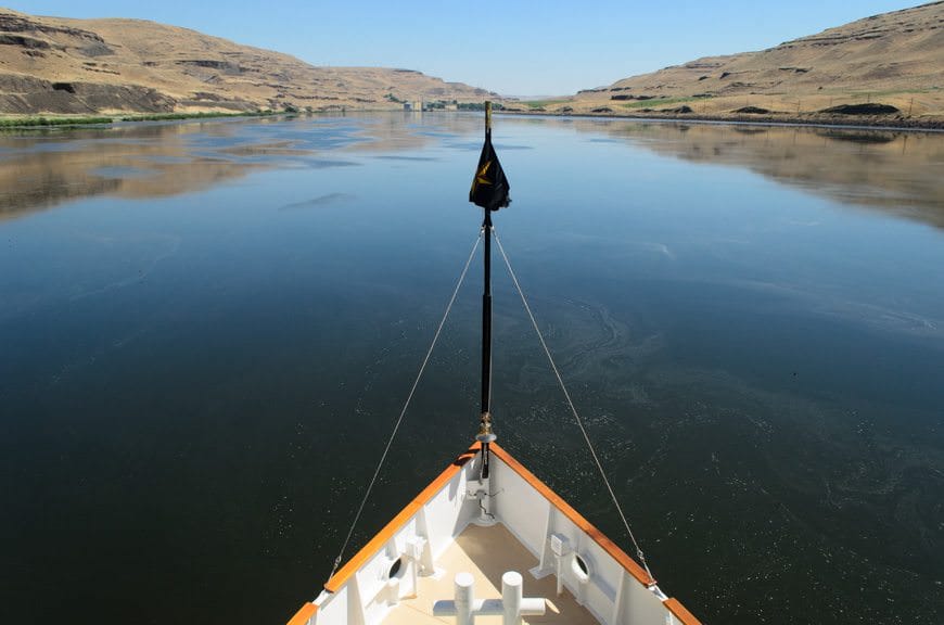The View From The Bow of the S.S. Legacy on the Columbia River. The landscape changes from Pacific rainforest to arid desert almost with the snap of a finger. Photo © 2015 Aaron Saunders
