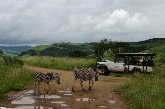You can now river cruise along Africa's Chobe River - and combine it with a land-tour and safari. Photo © 2013 Aaron Saunders