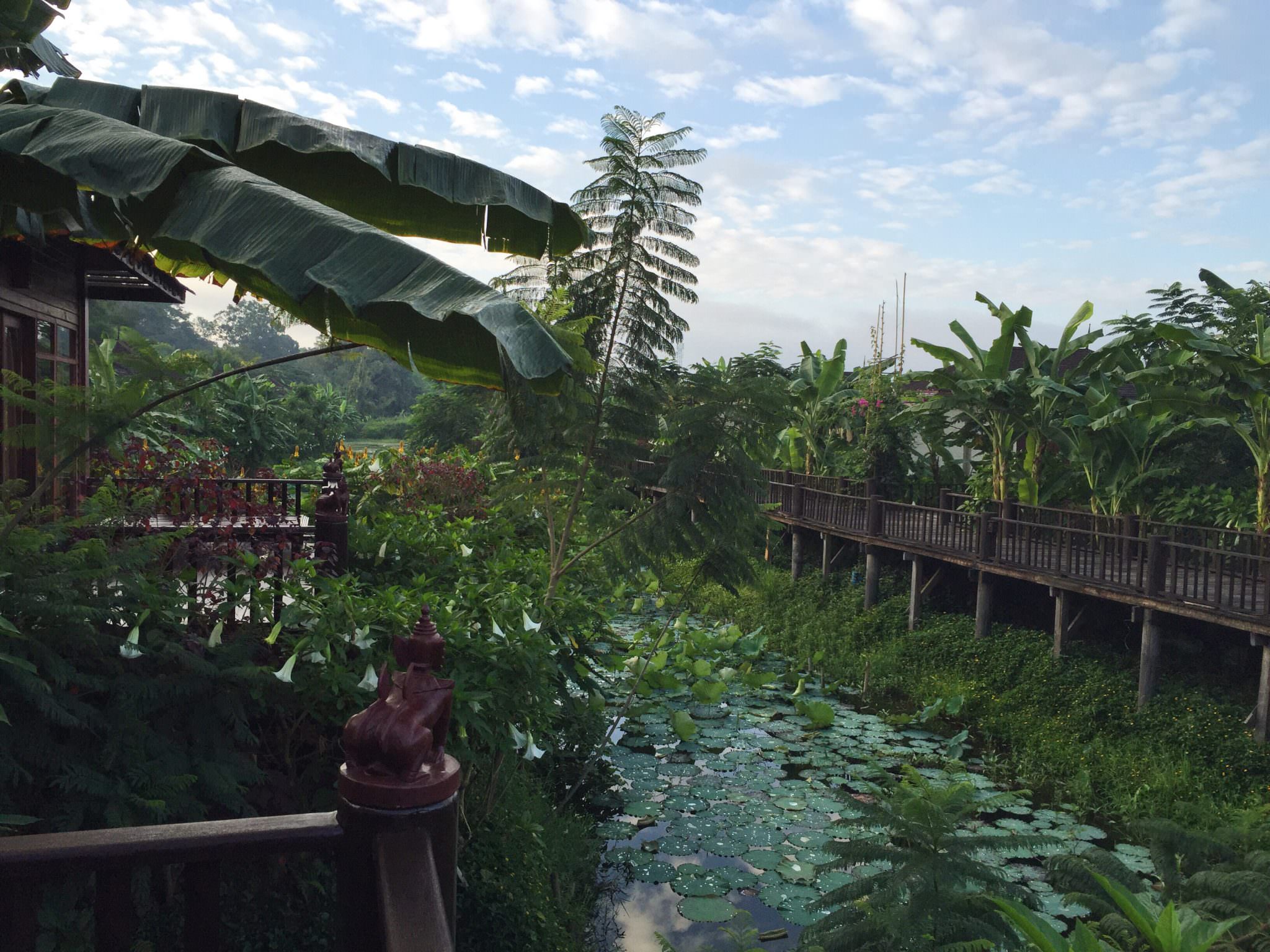 Good Morning, Inle Lake. Hands down one of the most beautiful hotels...period. (c) 2015 Gail Jessen 